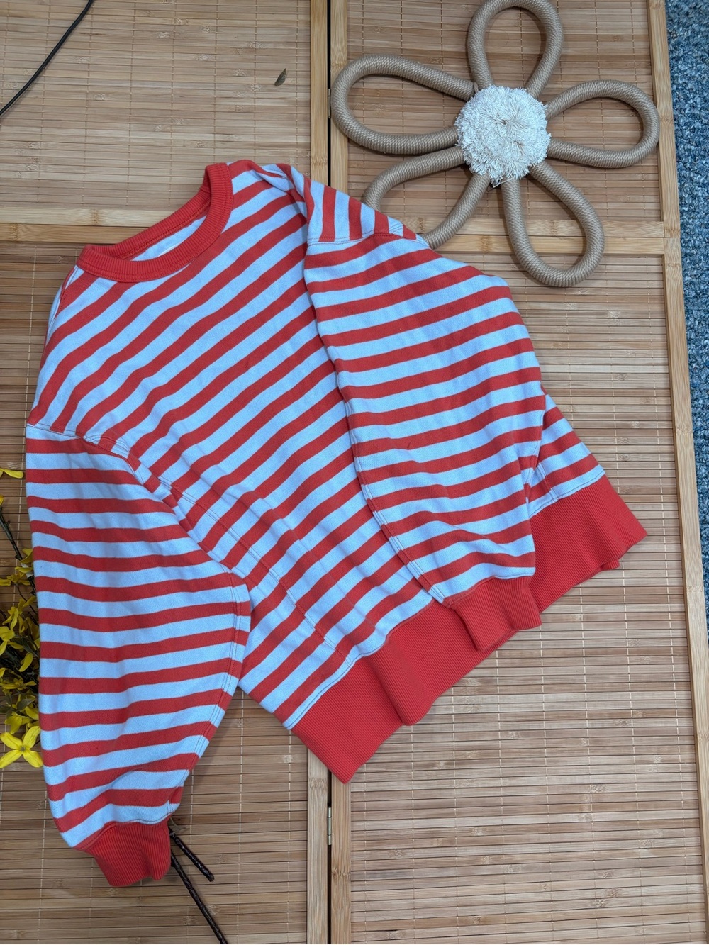 Aerie Red & Light Blue Striped Sweatshirt XS